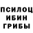 Галлюциногенные грибы Psilocybe 7625ak