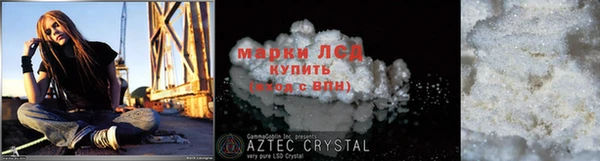 стафф Володарск