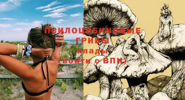 шишки Волоколамск