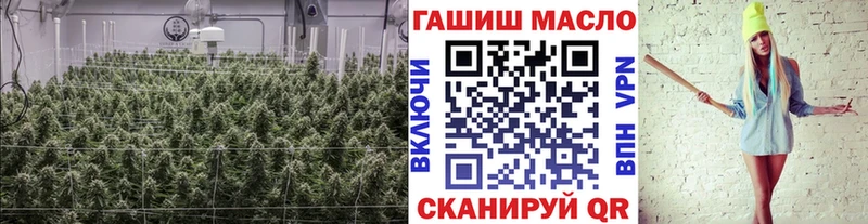 Дистиллят ТГК THC oil Чекалин